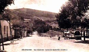 Ain-Draham - Vue Generale - Au loin le Djebel Dir